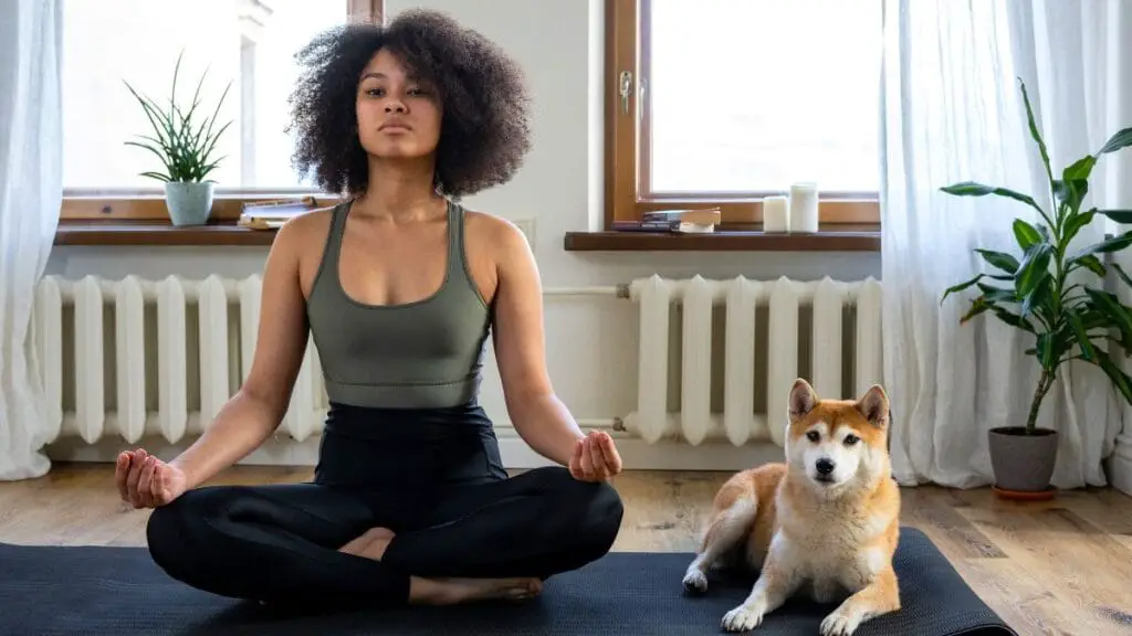 Meditate and relax